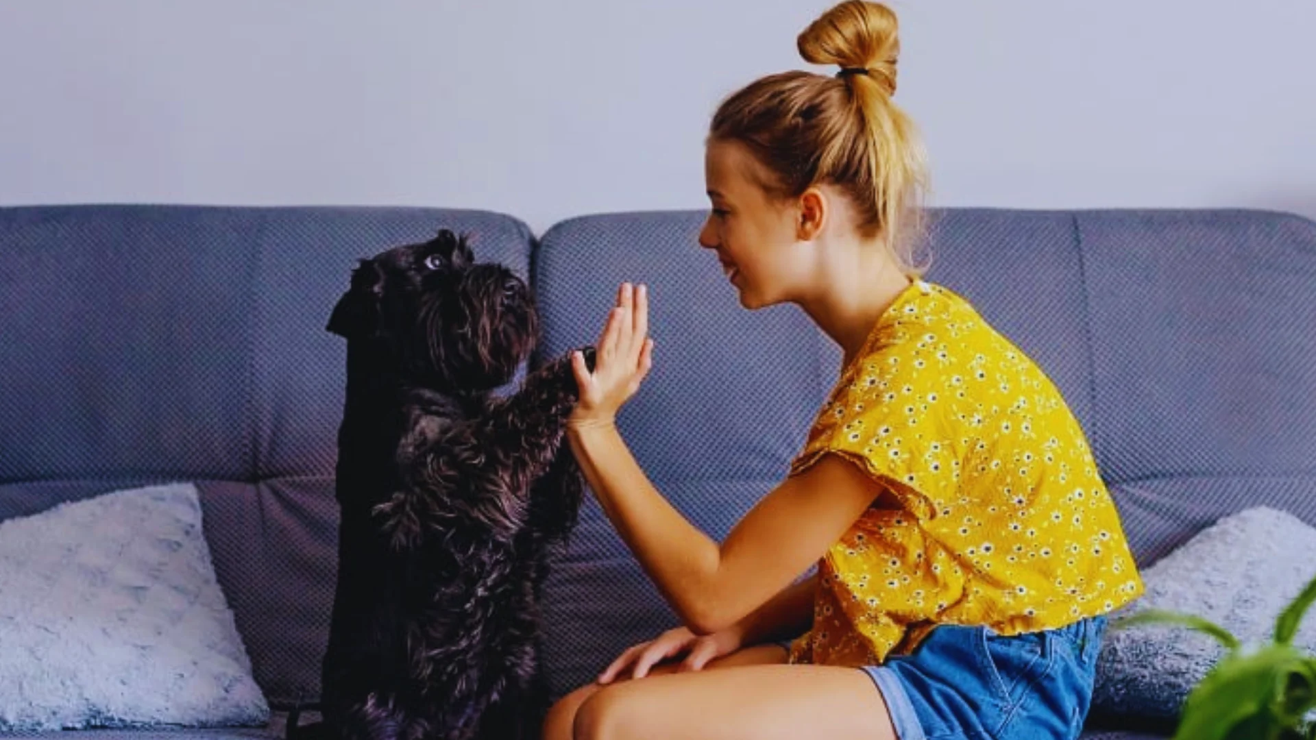 Pet Insurance Is More Relevant Than Ever