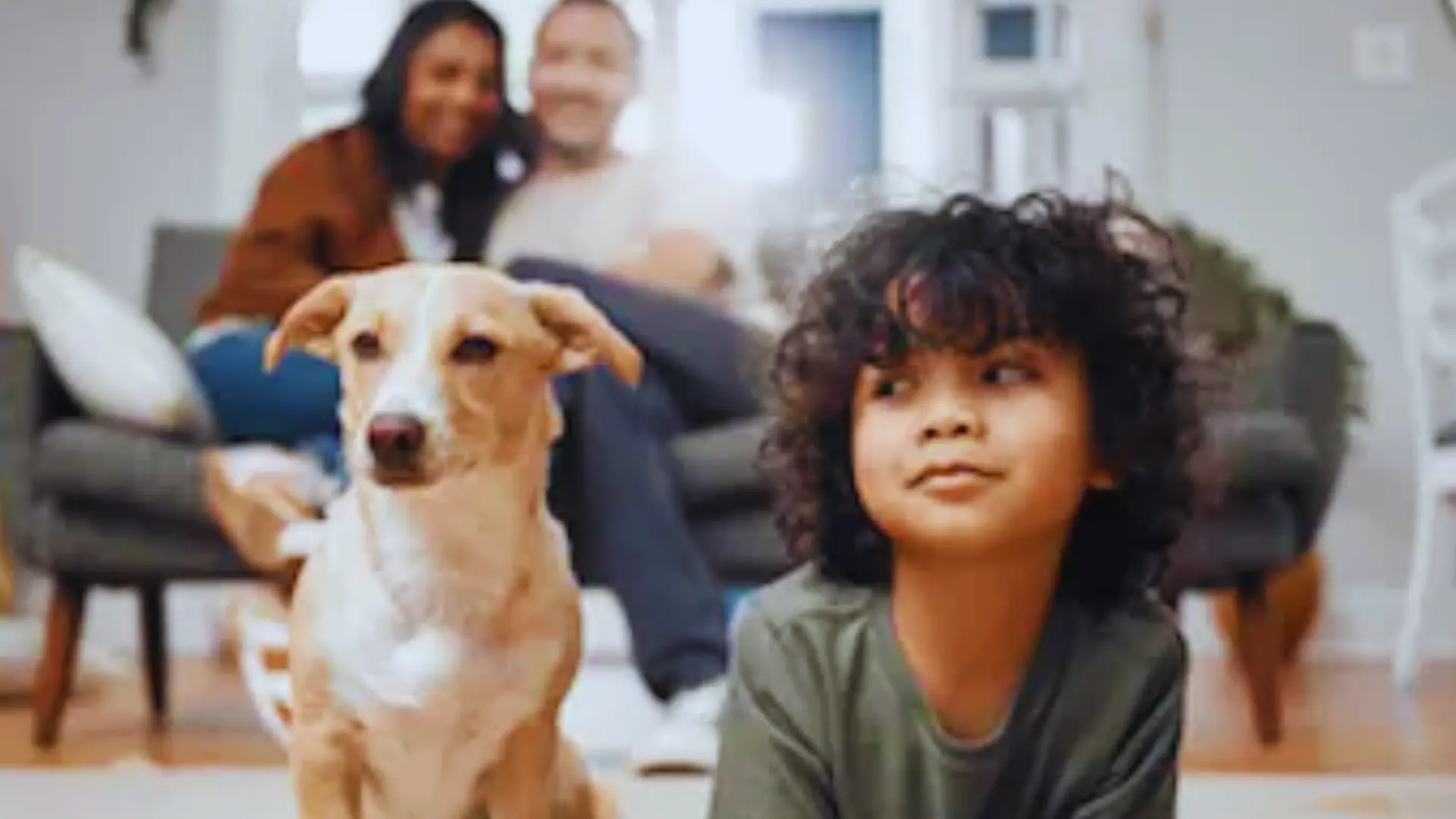 What Does Pet Insurance Cover? Emergencies, Surgery, and Major Costs Explained